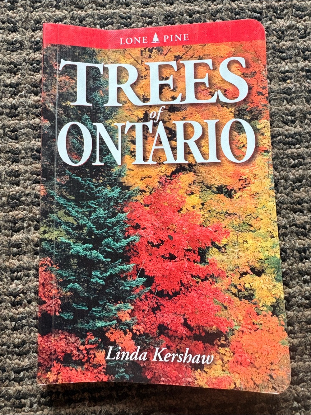 Vintage Lone Pine Trees of Ontario Guidebook - Multicolor Cover